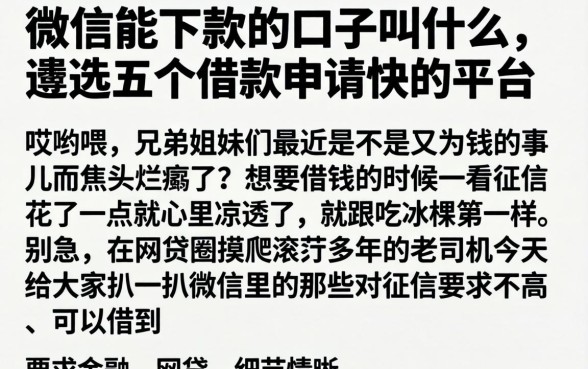 微信能下款的口子叫什么，遴选五个借款申请快的平台