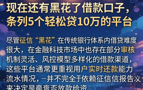 现在还有黑花了借款口子，条列5个轻松贷10万的平台