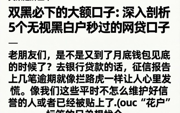 双黑必下的大额口子，深入剖析5个无视黑白户秒过的网贷口子
