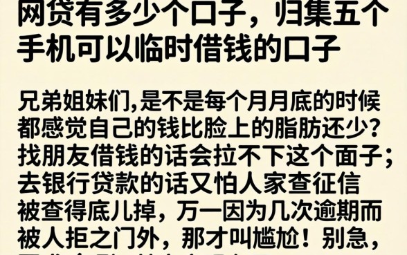 网贷有多少个口子，归集五个手机可以临时借钱的口子