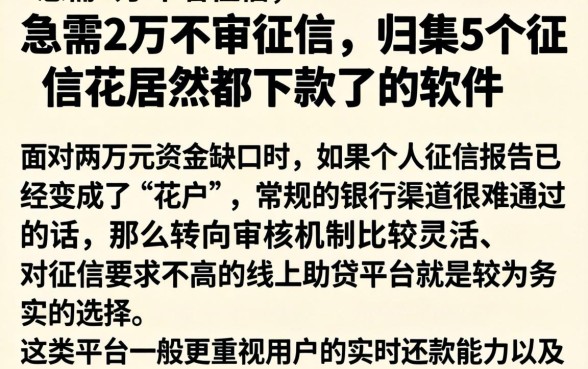 急需2万不看征信，归集5个征信花居然都下款了的软件