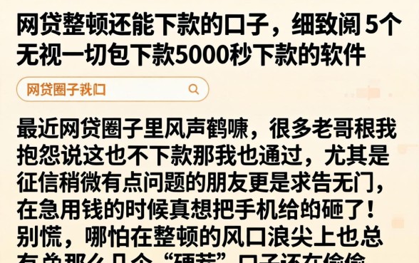 网贷整顿还能下款的口子，细致阐述5个无视一切包下款5000秒下款的软件