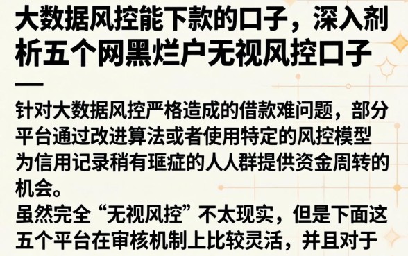 大数据风控能下款的口子,深入剖析五个网黑烂户无视风控口子