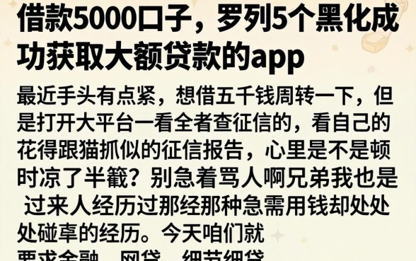 借款5000口子,罗列5个黑户成功获取大额贷款的app