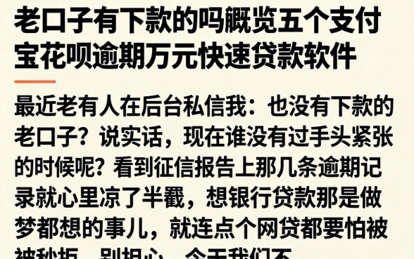 老口子有下款的吗，概览五个支付宝花呗逾期万元快速贷款软件
