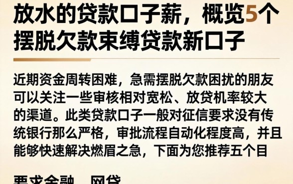 放水的贷款口子薪，概览5个摆脱欠款束缚贷款新口子