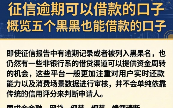 征信逾期可以借款的口子，概览五个黑户也能借款的口子