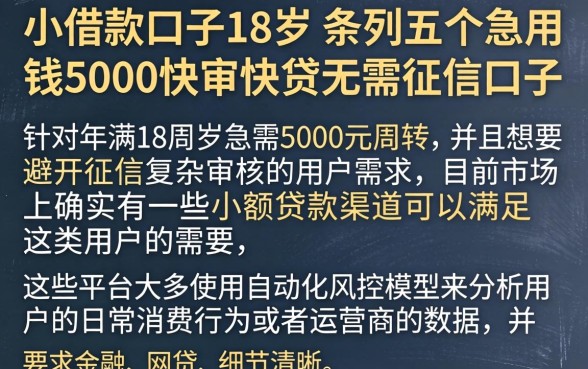 小借款口子18岁，条列五个急用钱5000快审快贷无需征信口子