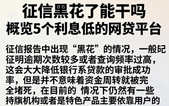 征信黑花了能干吗，概览5个利息低的网贷平台