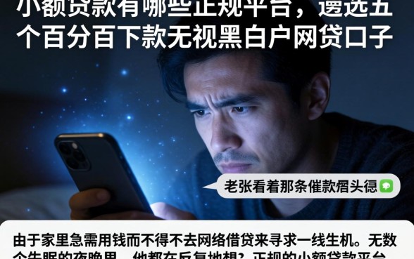 小额贷款有哪些正规平台,遴选五个百分百下款无视黑白户网贷口子