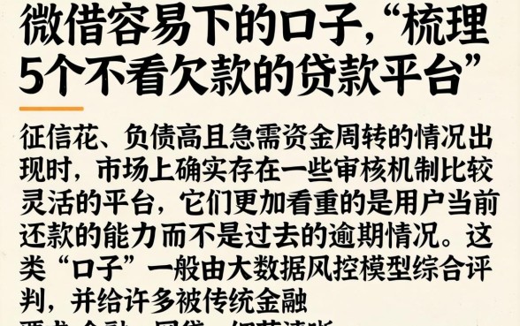 微借容易下的口子，梳理5个不看欠款的贷款平台