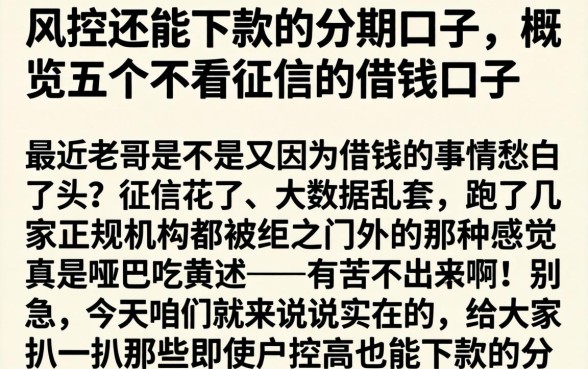 风控还能下款的分期口子，概览五个不看征信的借钱口子