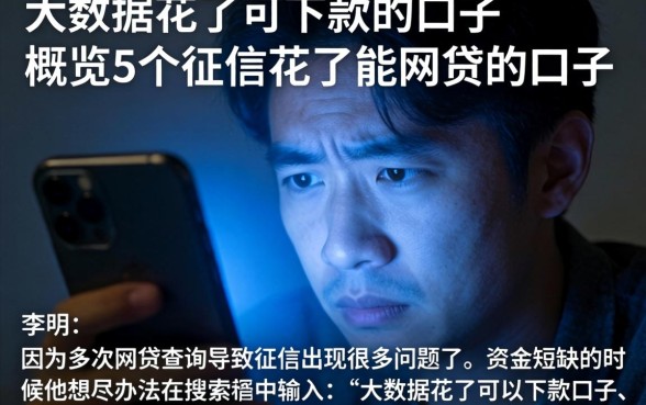 大数据花了可下款的口子，概览5个征信花了能网贷的口子