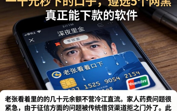 一千元秒下的口子，遴选5个网黑真正能下款的软件