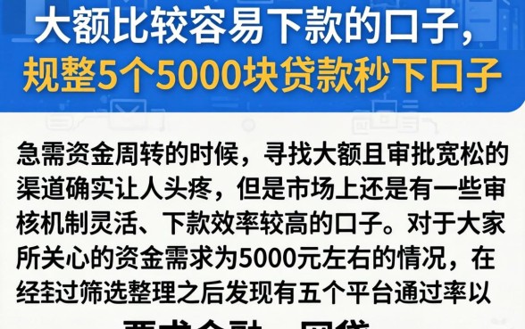 大额比较容易下款的口子,规整5个5000块贷款秒下口子