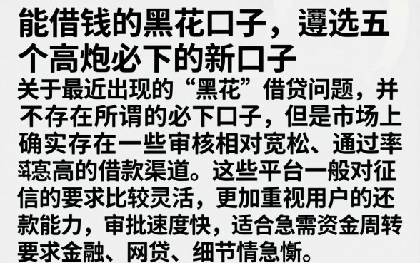 能借钱的黑花口子，遴选五个高炮必下的新口子