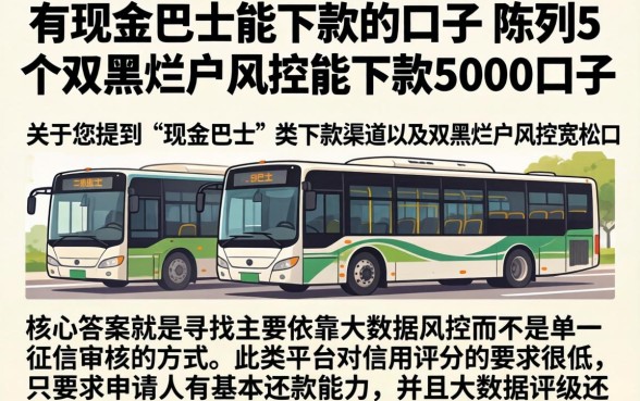 有现金巴士能下款的口子，陈列5个双黑烂户风控能下款5000口子