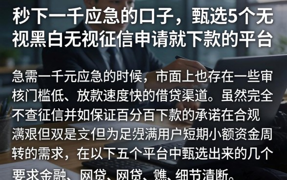 秒下一千应急的口子，甄选5个无视黑白无视征信申请就下款的平台