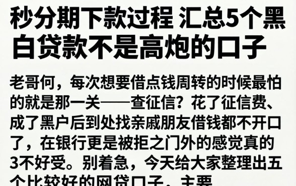 秒分期下款过程，汇总5个黑白贷款不是高炮的口子