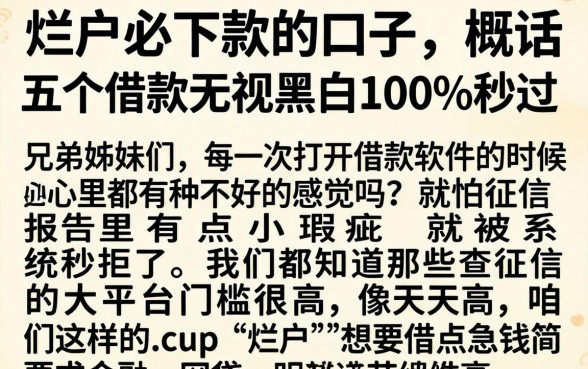 烂户必下款的口子，概括五个借款无视黑白100%秒过