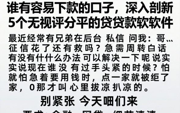 谁有容易下款的口子，深入剖析5个无视评分的贷款软件