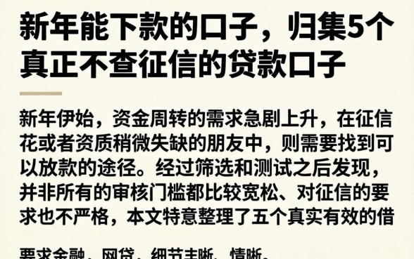 新年能下款的口子，归集5个真正不查征信的贷款口子