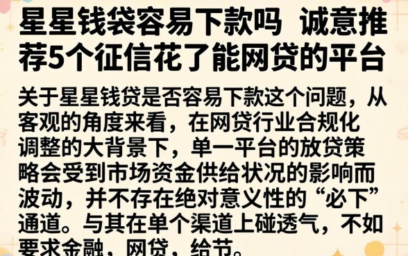 星星钱袋容易下款吗，诚意推荐5个征信花了能网贷的平台