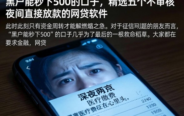 黑户能秒下500的口子，精选五个不审核夜间直接放款的网贷软件