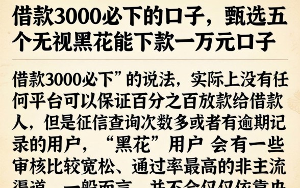 借款3000必下的口子,甄选五个无视黑花能下款一万元口子
