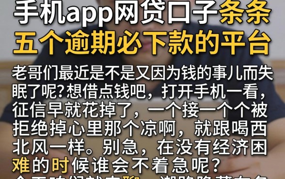 手机app网贷口子，条列五个逾期必下款的平台