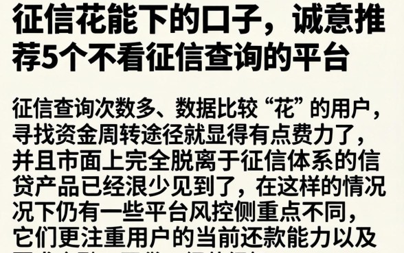征信花能下的口子，诚意推荐5个不看征信查询的平台