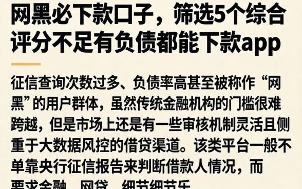 网黑必下款的口子，筛选5个综合评分不足有负债都能下款app