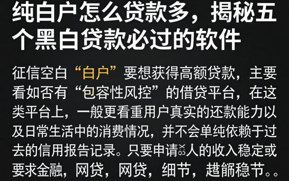 纯白户怎么贷款多，揭秘五个黑白贷款必过的软件