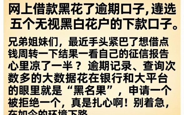 网上借款黑花了逾期口子，遴选五个无视黑白花户的下款口子