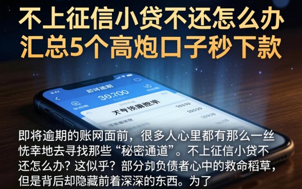 不上征信小贷不还怎么办，汇总5个高炮口子秒下款