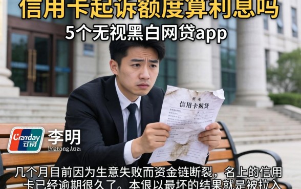 信用卡起诉额度算利息吗，概括5个无视黑白的网贷app