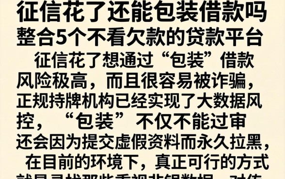 征信花了还能包装借款吗，整合5个不看欠款的贷款平台