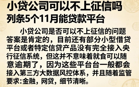 小贷公司可以不上征信吗，条列5个11月能贷款的平台