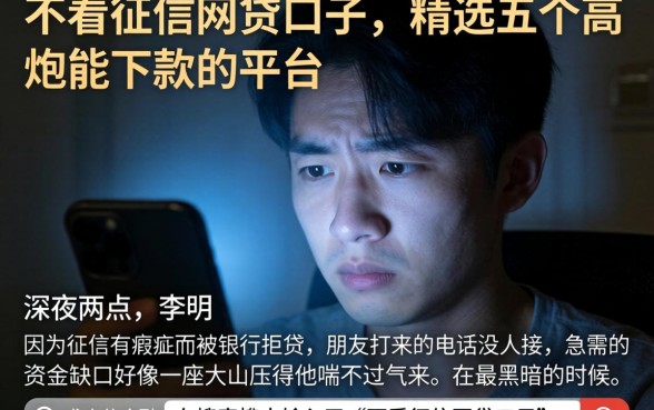 不看征信网贷口子，精选五个高炮能下款的平台