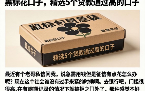 鼠标包装盒上的黑花口子，精选5个贷款通过高的口子