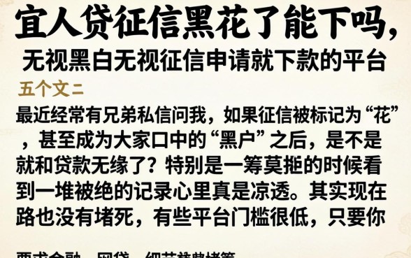 宜人贷征信黑花了能下吗，详细阐述五个无视黑白无视征信申请就下款的平台