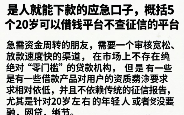 是人就能下款的应急口子，概括5个20岁可以借钱平台不查征信的平台