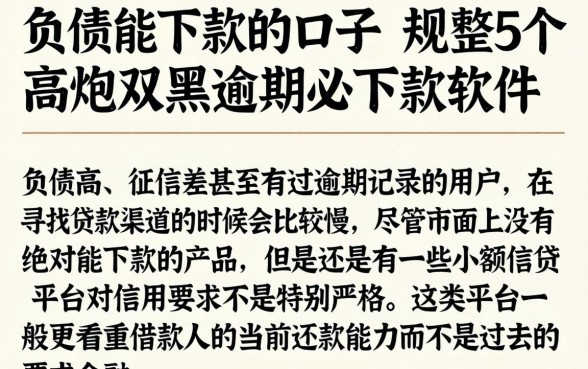 负债能下款的口子,规整5个高炮双黑逾期必下款软件