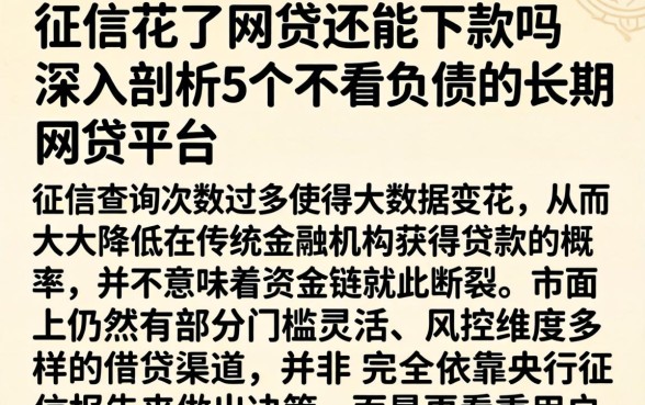 征信花了网贷还能下款吗，深入剖析5个不看负债的长期网贷平台
