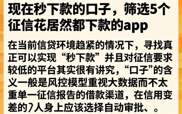 现在秒下款的口子，筛选5个征信花居然都下款的app