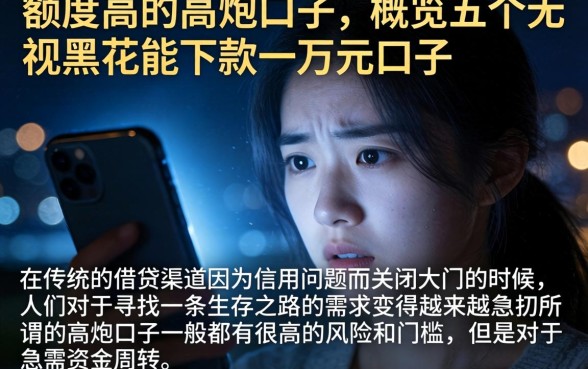 额度高的高炮口子，概览五个无视黑花能下款一万元口子