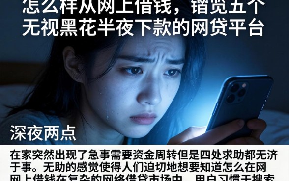 怎么样从网上借钱，概览五个无视黑花半夜下款的网贷平台