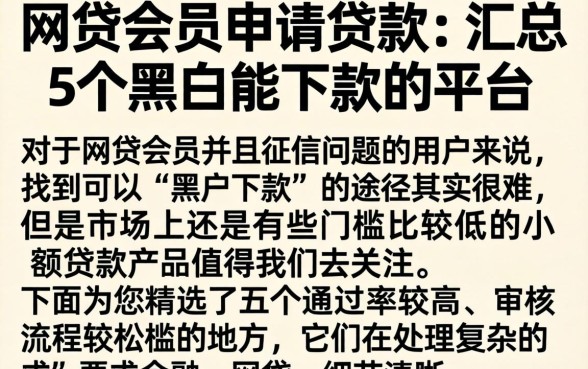 网贷会员申请贷款，汇总5个黑户能下款的平台
