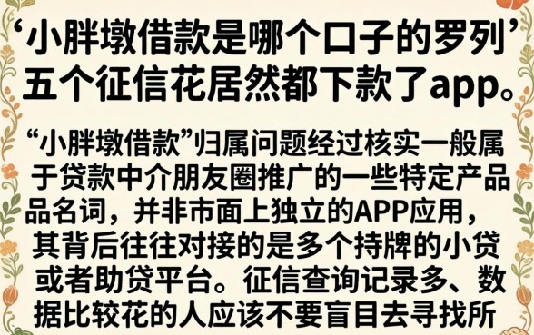 小胖墩借款是哪个口子的，罗列五个征信花居然都下款了的app