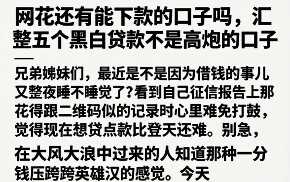 网花还有能下款的口子吗，汇整五个黑白贷款不是高炮的口子